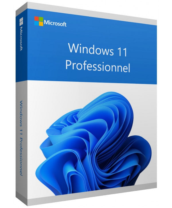 Microsoft Windows 11 Professionnel - Licence numérique officielle - Version Complète - Clé d’activation - Image produit HD